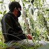 Deepak Aradhya