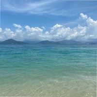 孙朝阳