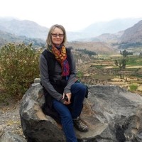 Carole Hutchinson