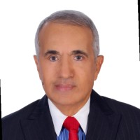 Nasser M N Alshemaimry