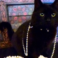 Antiquehunter Xplornet.Ca