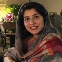 Noushin Alipour
