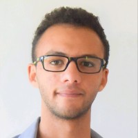 Faisal Ali