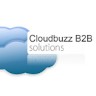 CloudBuzz Solutions