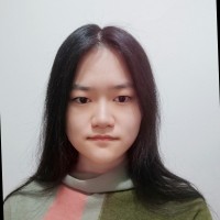 Jingyi Cui