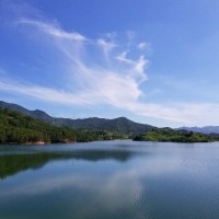 侯庆宇