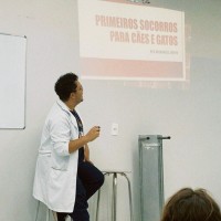 Hernandes Júnior