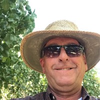 David Simoni