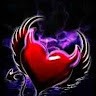 Mohd Shareef