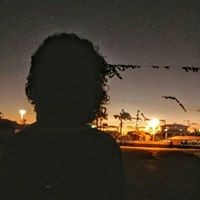 André Vinicius Ara Ujo Soares