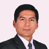 David N. Mamani Huacani