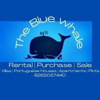 The Blue Whale