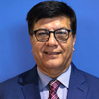 Harry Hamidi