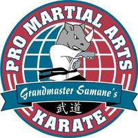 Pro Martial Arts Burlington