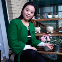 张淑敏