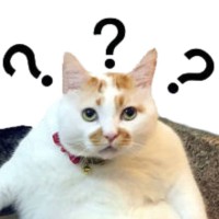 郭双林