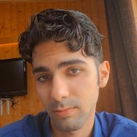 Mikael Hamedani