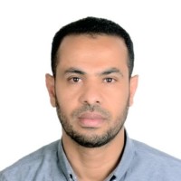 Hamed Ali