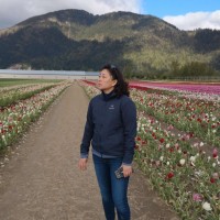 Jing Fan