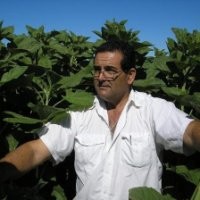 Enrique Pizzano