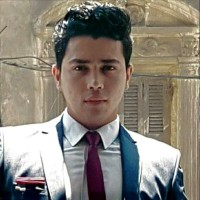 Ahmed Lashin