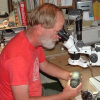 Andrew L. Christenson