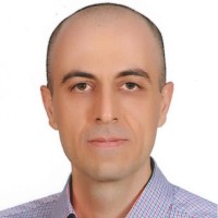 S. Mohammad Mohsen Feiz