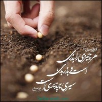 Mohsen Soli