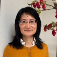 Jie Willems (Stella Xu）