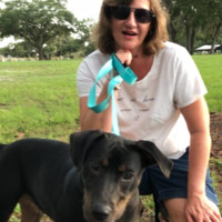 Michelle S. King