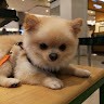 Kenzo Maverrick Chua