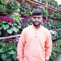 Niteesh k Goudar