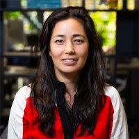 Iuri Shiraishi-Ferreira