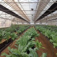 Ehsaas Organic
