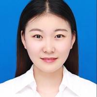 武文文