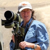 Colleen Lenihan