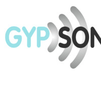 GYPSONIC ACOUSTIC CEILINGS WALLS