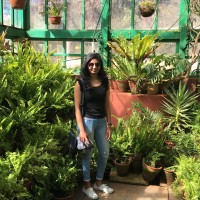 Dipti Verma