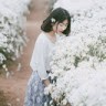 Avg Minh Nguyet