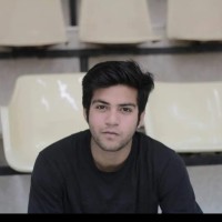 Hassan Waqar