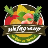 Wofa group