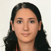Gökçen (Bingöl) Sonkaya