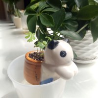 Sammie Chen