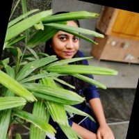 Soumya .P