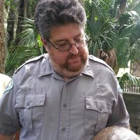 Wayne Osborne