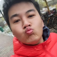王智龙