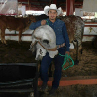 Juan Bautista