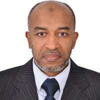 Ahmed Gamal Abdelmegid