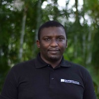 Henry Oko