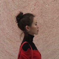 Z Wang